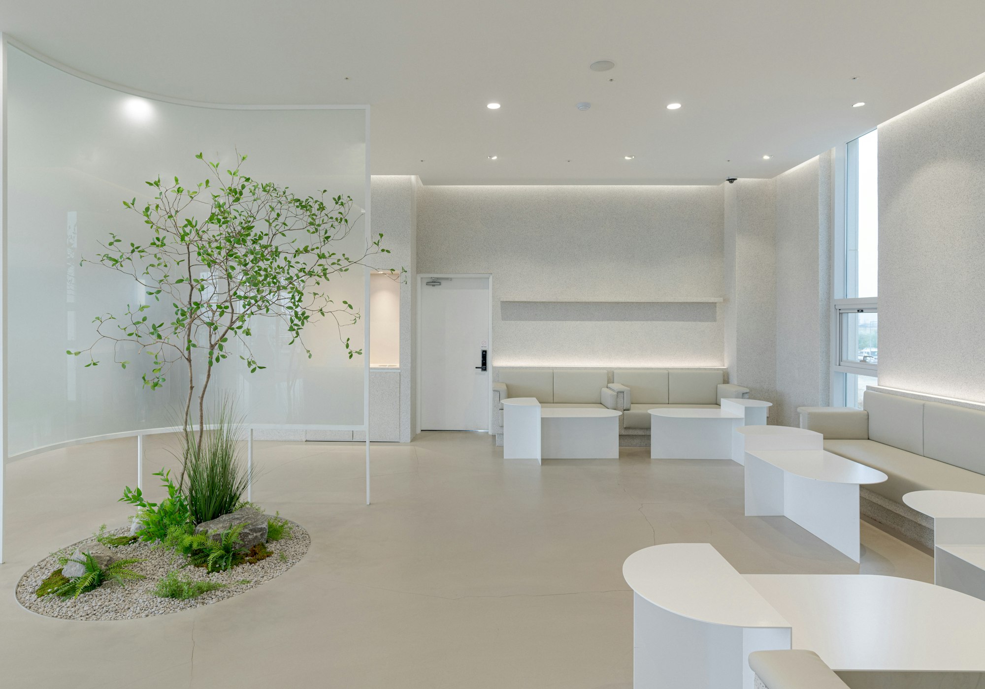 Main studio floor with the indoor trees